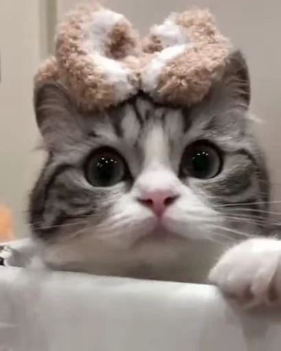 ☺️ Стикер «Kotik Bkycno 2» для Telegram