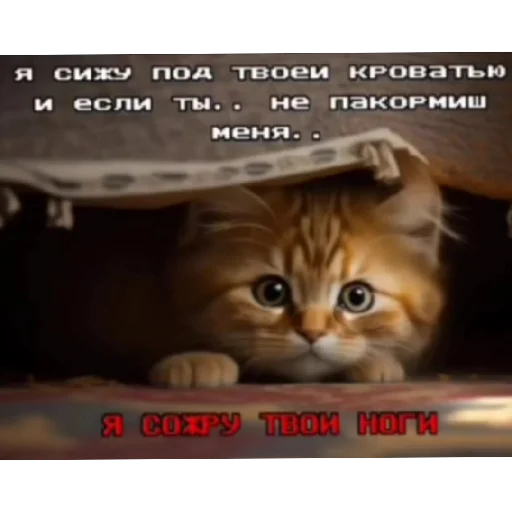 😋 Стикер «Котике» для Telegram