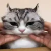 Стикер 32 Kotik Emoji