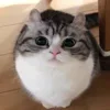 Стикер 14 Kotik Emoji