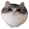 Стикер 2 Kotik Emoji