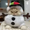 Стикер 9 彡 Котики 𖥔