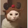 Стикер 53 彡 Котики 𖥔
