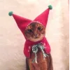 Стикер 24 彡 Котики 𖥔