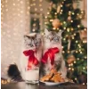 Стикер 29 彡 Котики 𖥔