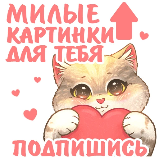Стикерпак Котики и фразочки к Хэллоуину для Telegram — скачать