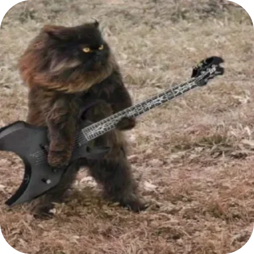 🐱 Стикер «Котики и фразочки» для Telegram