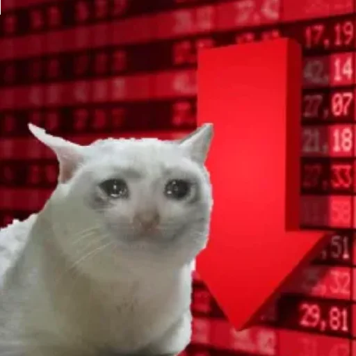 😄 Стикер «Kotiki Cat 6» для Telegram