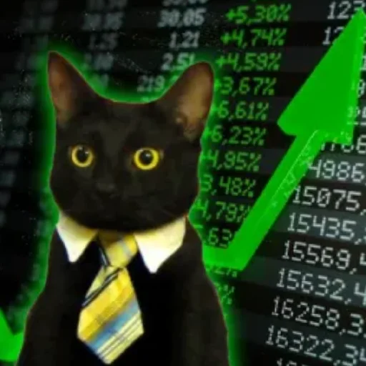 😄 Стикер «Kotiki Cat 6» для Telegram