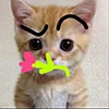 🥹 Эмодзи «kotik» для Telegram