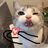 🤧 Эмодзи «kotik» для Telegram
