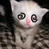 👿 Эмодзи «kotik» для Telegram