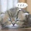 😐 Эмодзи «kotik» для Telegram