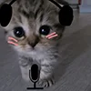 😮 Эмодзи «kotik» для Telegram