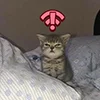 🙁 Эмодзи «kotik» для Telegram