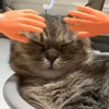 Стикер 36 Котики Гиф