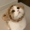 Стикер 17 Котики Гиф