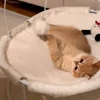 Стикер 20 Котики Гиф