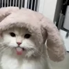 Стикер 4 Котики Гиф