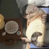 Стикер 53 Котики Гиф