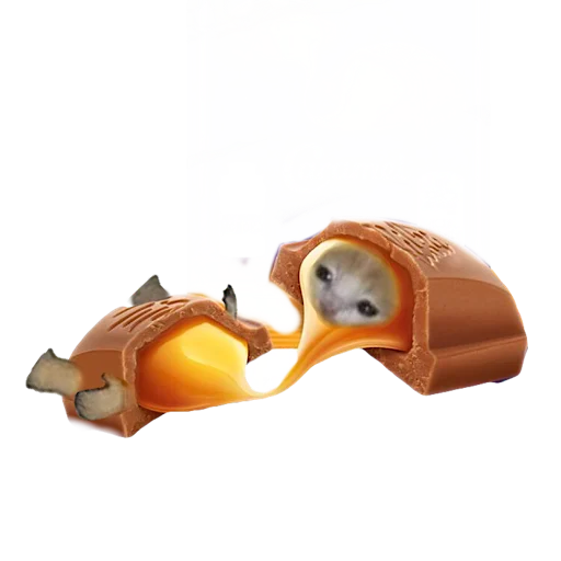 🍫 Стикер «котики овощи коты фрукты» для Telegram