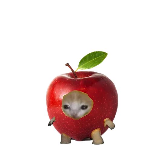 🍎 Стикер «котики овощи коты фрукты» для Telegram