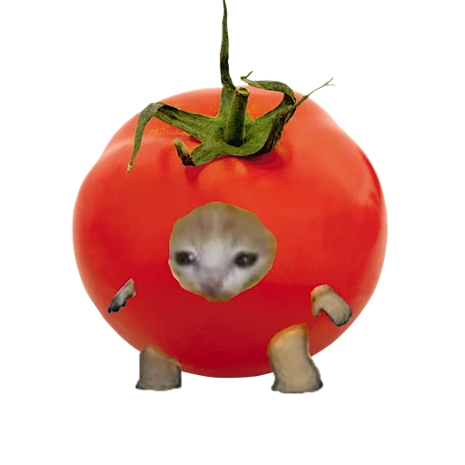 🍅 Стикер «котики овощи коты фрукты» для Telegram