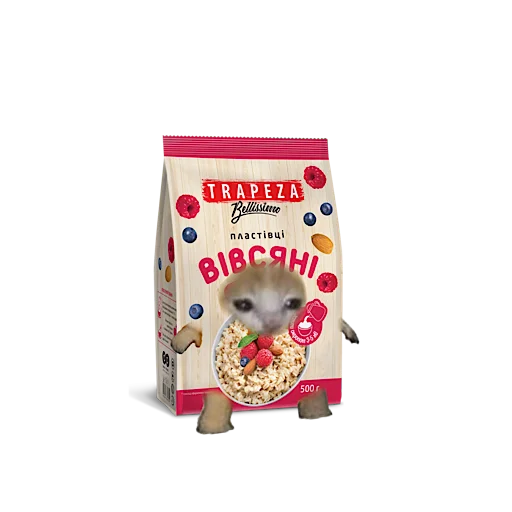 🍚 Стикер «котики овощи коты фрукты» для Telegram