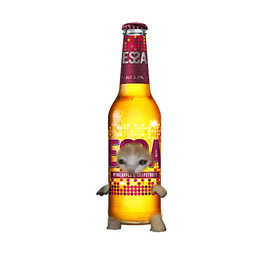 🍺 Стикер «котики овощи коты фрукты» для Telegram
