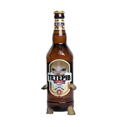 🍺 Стикер «котики овощи коты фрукты» для Telegram