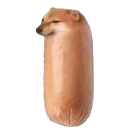 🌭 Стикер «котики овощи коты фрукты» для Telegram