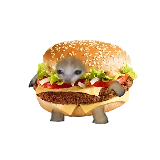 🍔 Стикер «котики овощи коты фрукты» для Telegram