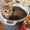 😐 Эмодзи «котеки» для Telegram