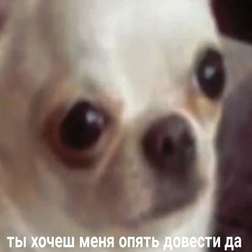 😰 Стикер «Жизень» для Telegram