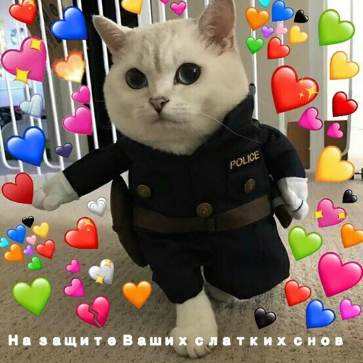 ❤️ Стикер «Жизень» для Telegram