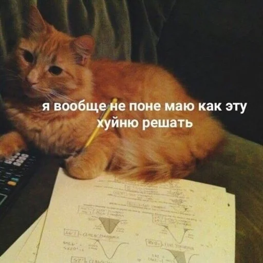 ☹️ Стикер «Жизень» для Telegram