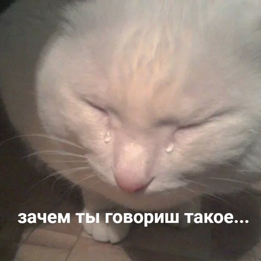 😭 Стикер «Жизень» для Telegram