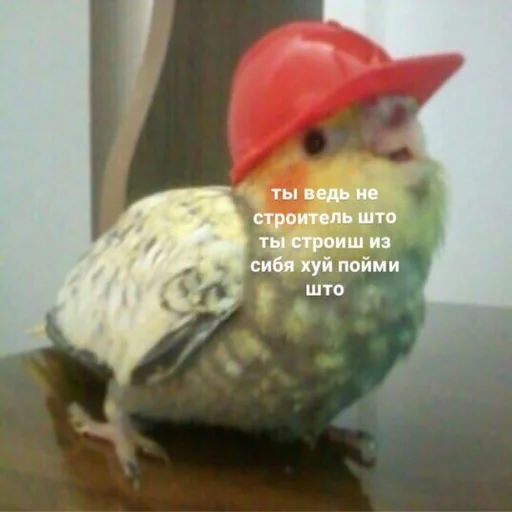 🧐 Стикер «Жизень» для Telegram
