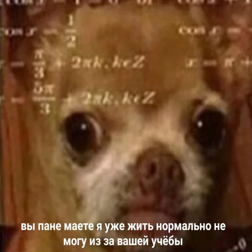 ☹️ Стикер «Жизень» для Telegram