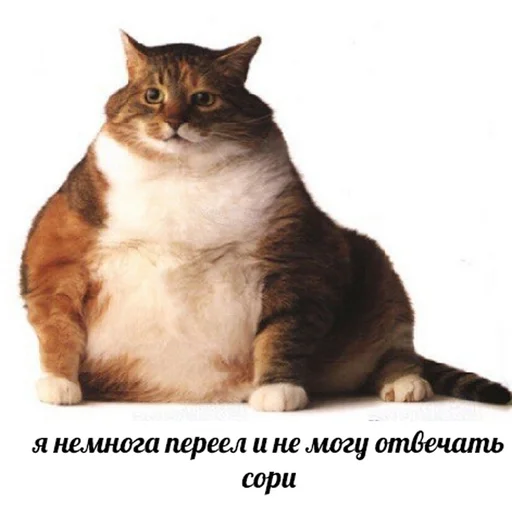 🤭 Стикер «Жизень» для Telegram