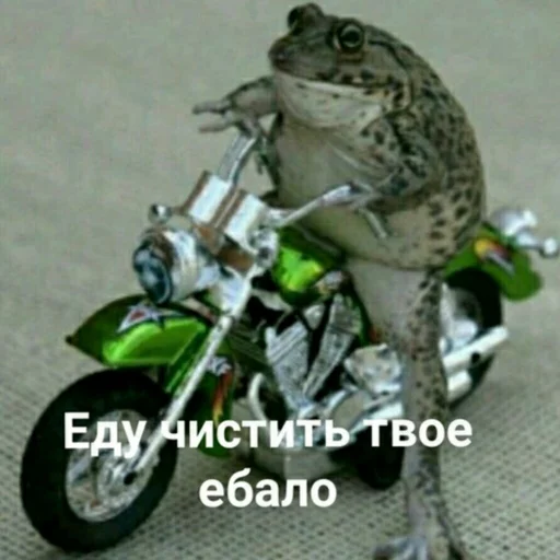 🔨 Стикер «Жизень» для Telegram