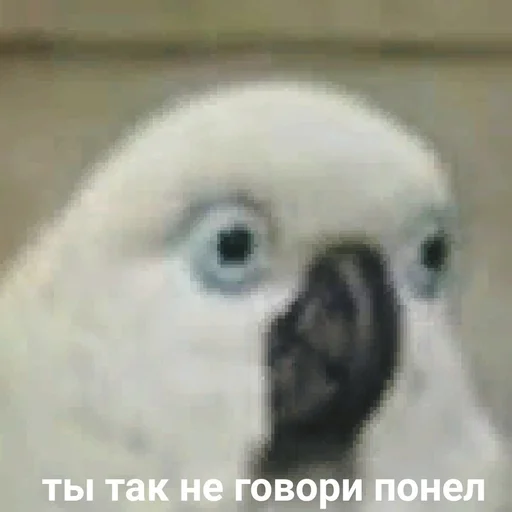 😮 Стикер «Жизень» для Telegram