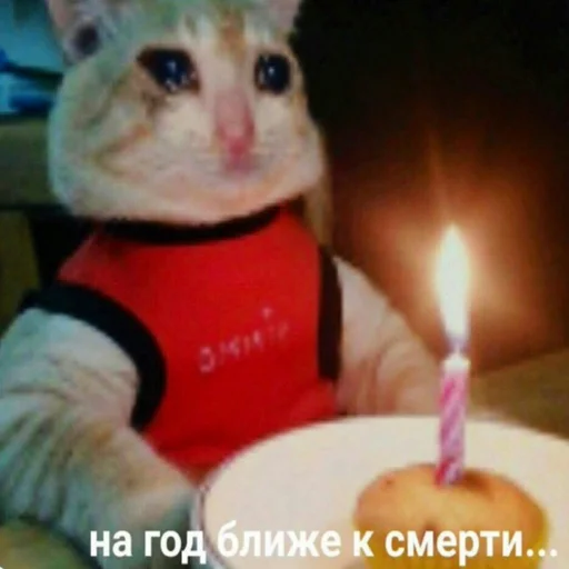 🍰 Стикер «Жизень» для Telegram
