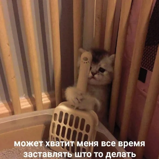 😣 Стикер «Жизень» для Telegram