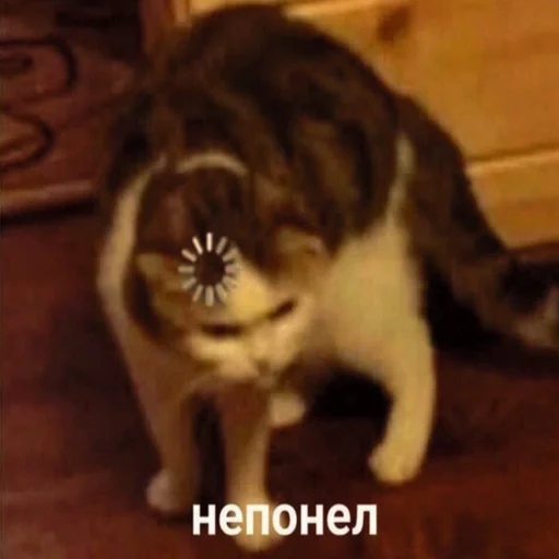 🤔 Стикер «Жизень» для Telegram