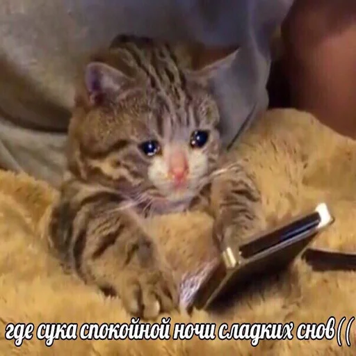 😢 Стикер «Жизень» для Telegram