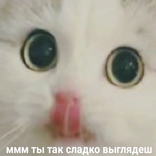 😝 Стикер «Жизень» для Telegram