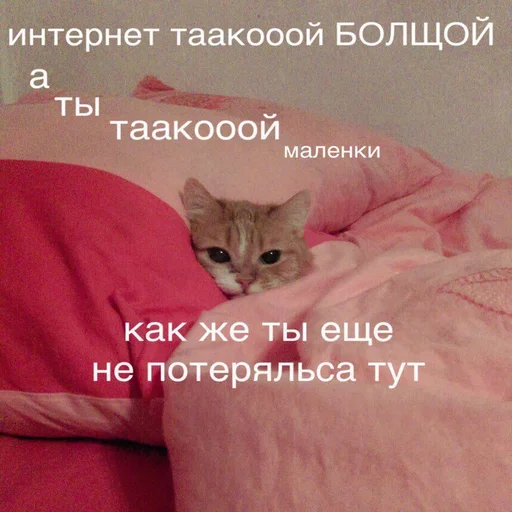 🙂 Стикер «Жизень» для Telegram