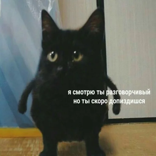 😒 Стикер «Жизень» для Telegram