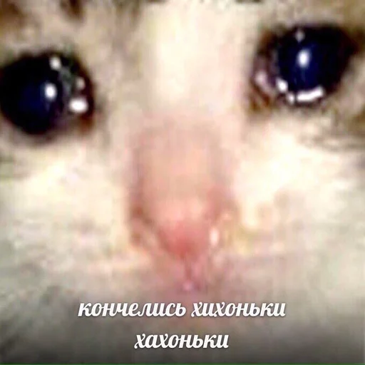 😥 Стикер «Жизень» для Telegram